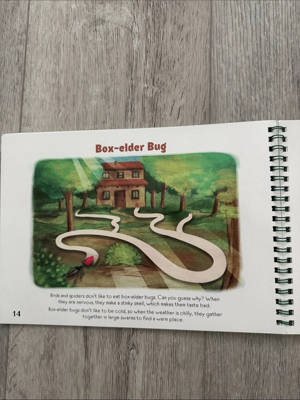 The Good and the Beautiful Insect & Spider Mazes Dry Activity Book